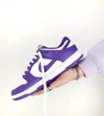 Nike SB Dunk Low Court Purple (Master Quality) Shoes Wala