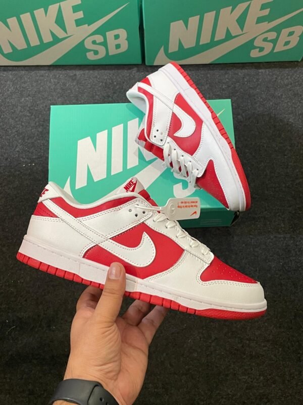 Nike Low Dunk P2 (Good Quality) Shoes Wala