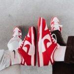 Nike Dunk Low Retro University Red(Master Quality) Shoes Wala