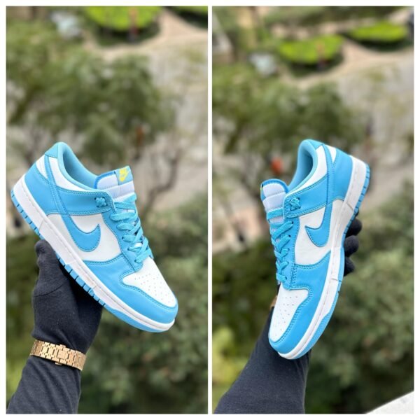 Nike Sb Dunk unc (master quality) Shoes Wala