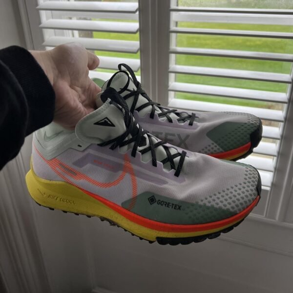 NIKE ZOOM PEGASUS TRAIL 4 GORETEX MULTI (Master Quality) Shoes Wala