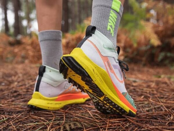 NIKE ZOOM PEGASUS TRAIL 4 GORETEX MULTI (Master Quality) Shoes Wala