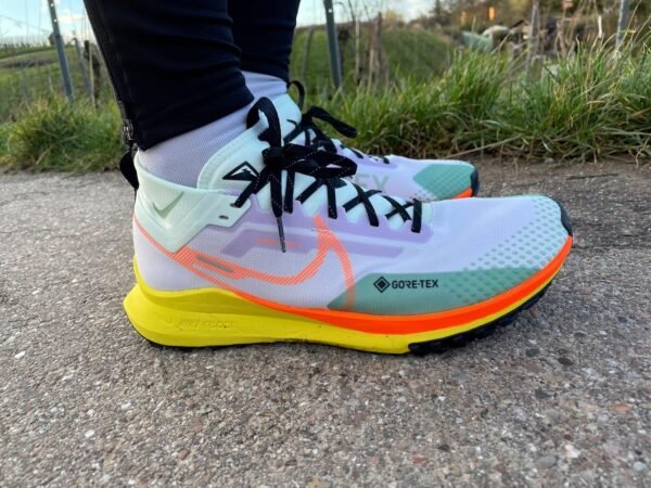 NIKE ZOOM PEGASUS TRAIL 4 GORETEX MULTI (Master Quality) Shoes Wala