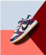 Nike SB Dunk Low Pro Parra(Master Quality) Shoes Wala